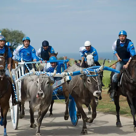 Appartamento Il Barbagianni *