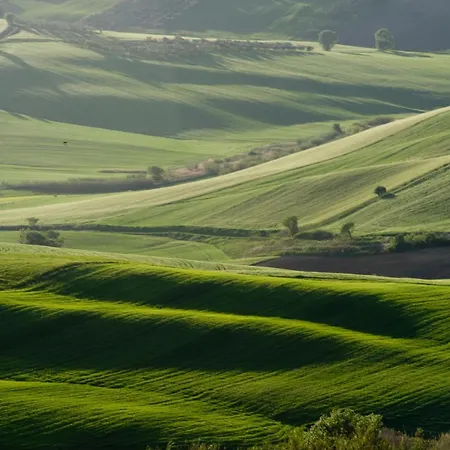 Il Barbagianni Appartamento *