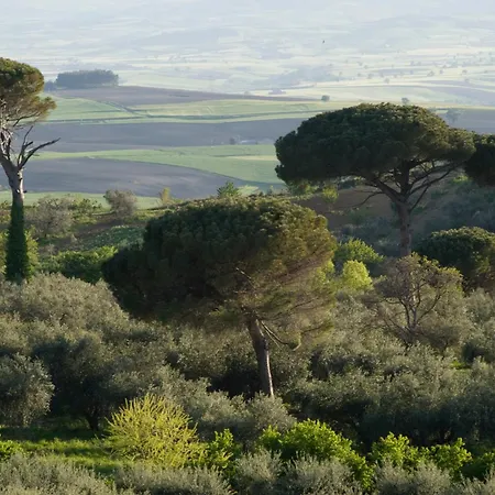 Appartamento Il Barbagianni *