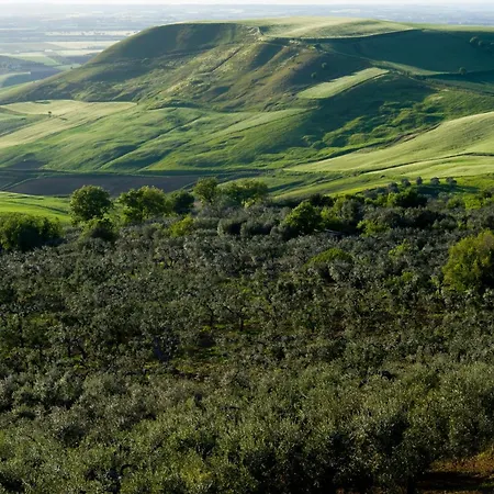 Il Barbagianni Chieuti