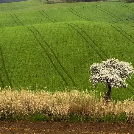 Il Barbagianni Appartamento *