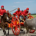 Il Barbagianni Chieuti