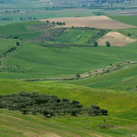 Il Barbagianni