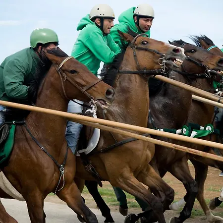 Il Barbagianni דירה *