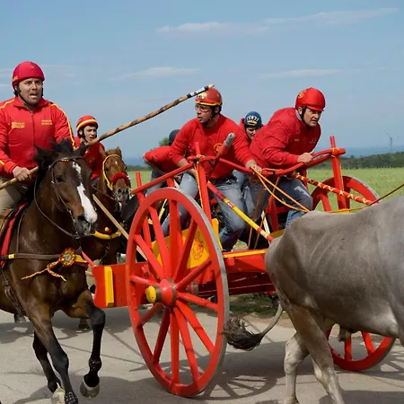 Il Barbagianni קייאוטי